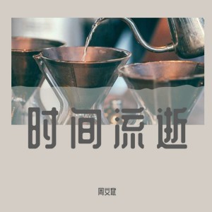 Album 时间流逝 from 周文斌