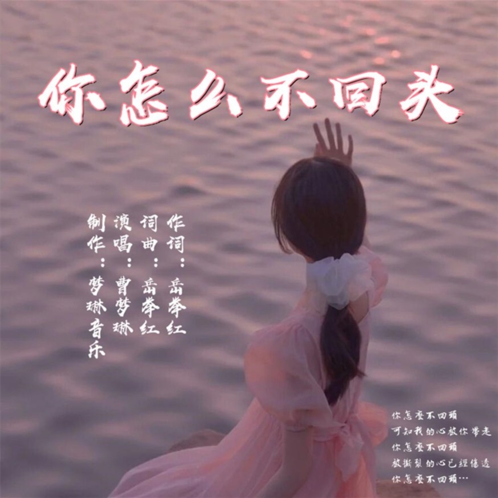 你怎么不回头 (伴奏)