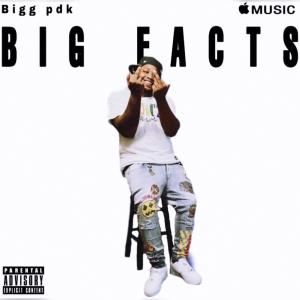 Bigg pdk的專輯BIG FACTS (Explicit)