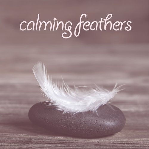 Calming Feathers