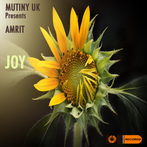 Mutiny UK的专辑Joy