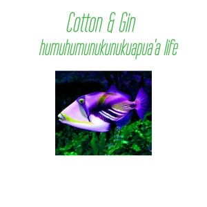 收聽Gin的Humuhumunukunukuapuaa Life歌詞歌曲