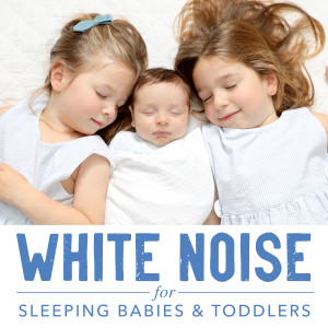 收听The Little Sunshine Kids的Forest Relaxation Sleeping Aid for Babies and Toddlers歌词歌曲