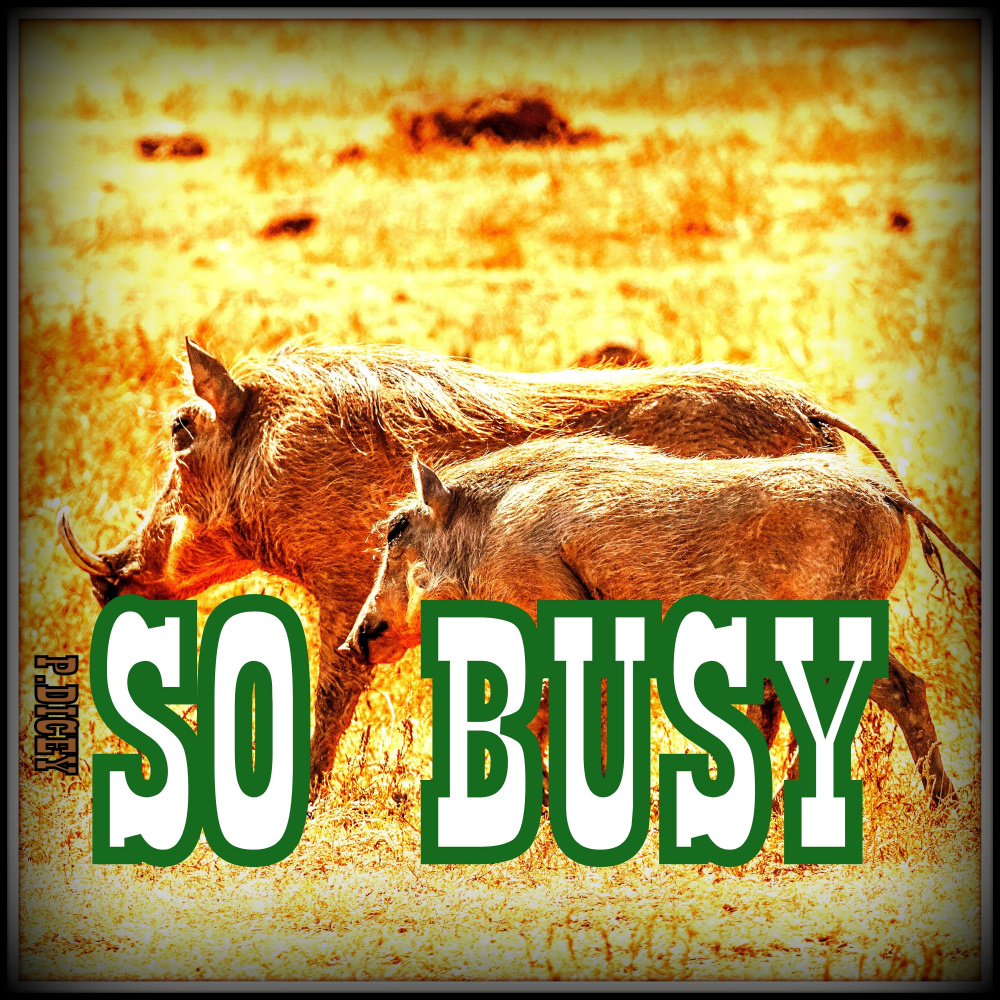 So Busy (Explicit)