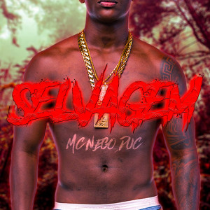 ดาวน์โหลดและฟังเพลง Selvagem พร้อมเนื้อเพลงจาก MC NEGO DUC