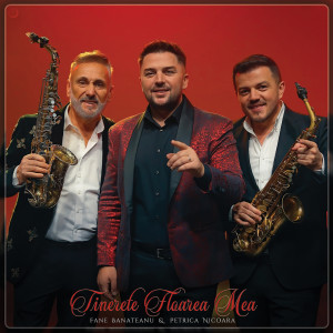 Album Tinerete Floarea Mea from Fane Banateanu