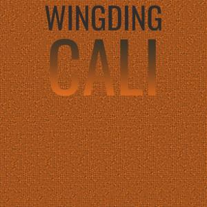 Listen to Admittance Myung song with lyrics from Dany Muler