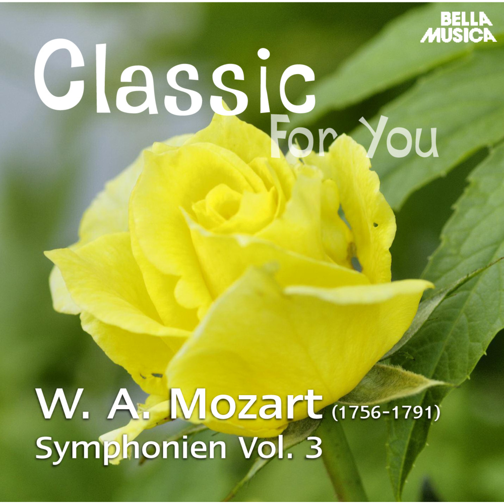 Symphonie in D Major, K. 97, No. 47: II. Andante