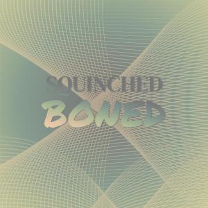 Album Squinched Boned oleh Various