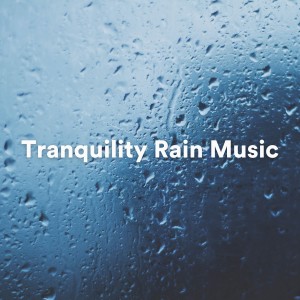 Album Tranquility Rain Music (Your Ultimate Soundtrack for Serenity and Calm) from Rain Drops for Sleep