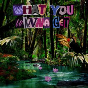 ELYX的專輯What You Wanna Get (Extended Mix)