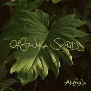 收聽Organika Sound的Fűszál歌詞歌曲