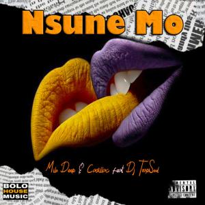 ดาวน์โหลดและฟังเพลง Nsune Mo (feat. Cadillac & Dj Trapsoul) พร้อมเนื้อเพลงจาก Milo Deep