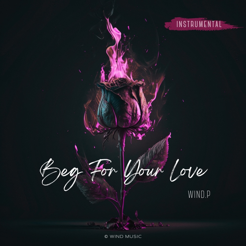 Beg For Your Love (Instrumental)