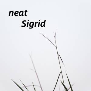 Album neat from Sigrid