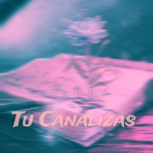Lucky ES的專輯Tu Canalizas