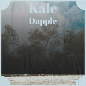 Listen to Kale Dapple song with lyrics from Erry Brid
