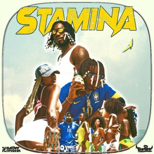 Album STAMINA (Explicit) from Teezee