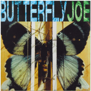 收聽Butterfly Joe的Whale In The Sea歌詞歌曲