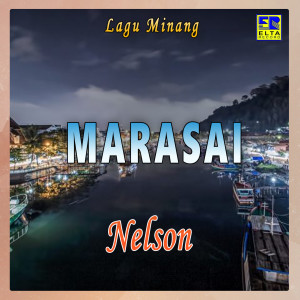 Dengarkan Anisa Sayang lagu dari Nelson dengan lirik