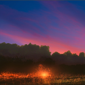 default playlist img