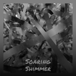 Listen to Soaring Shimmer song with lyrics from Cathia Blaisette