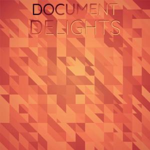 Album Document Delights from Various