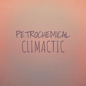 Various的专辑Petrochemical Climactic