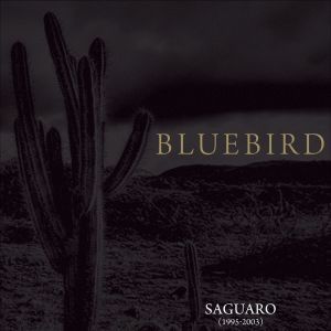 ดาวน์โหลดและฟังเพลง Rider พร้อมเนื้อเพลงจาก Bluebird