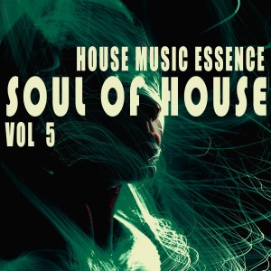 收听New Yorker的At the Controls (Just Deep Mix)歌词歌曲