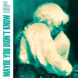 THE NINTH WAVE的專輯Maybe You Didn't Know