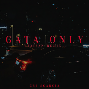 Album GATA ONLY (ITALIAN REMIX) from CRI SCARCIA
