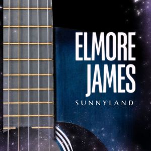 Dengarkan Long Tall Woman lagu dari Elmore James dengan lirik