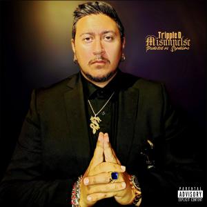 Album Misunnelse (Explicit) from Tripple D