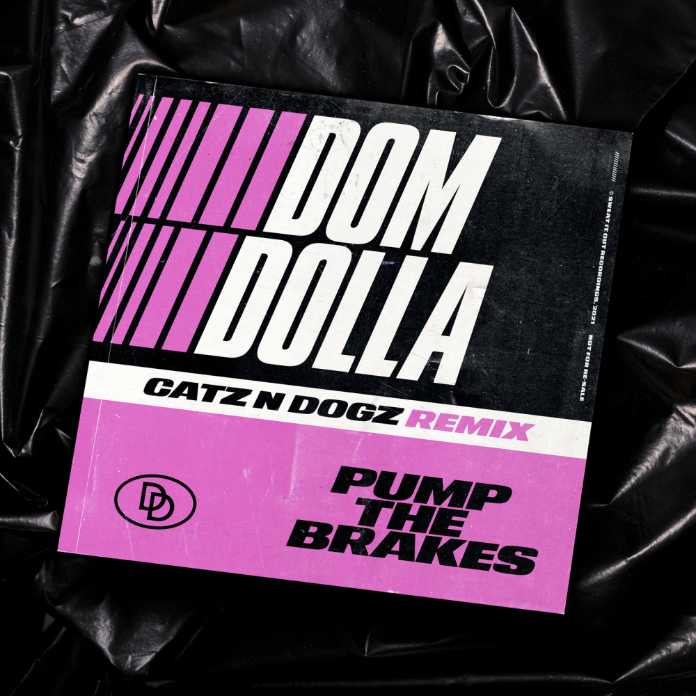 Pump the Brakes (Catz 'n Dogz Remix)
