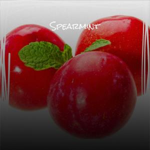 Album Spearmint from 