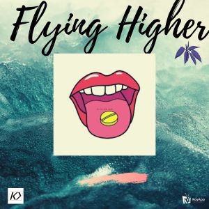 Album Flying Higher from DJ Shah