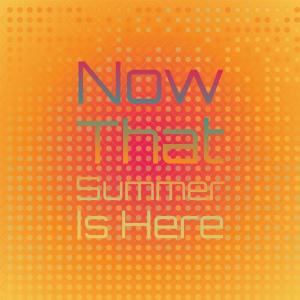 Listen to Now That Summer Is Here song with lyrics from The Videls & The Paradons