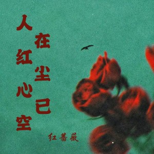 Album 人在红尘心已空 from 红蔷薇