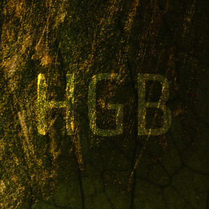 Listen to HGB (Explicit) song with lyrics from FreshMan5000
