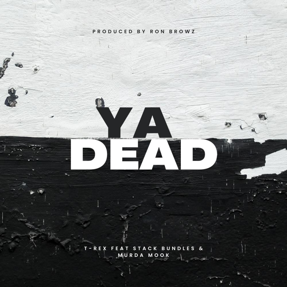 Ya Dead (feat. Stack Bundles & Murda Mook) (Explicit)
