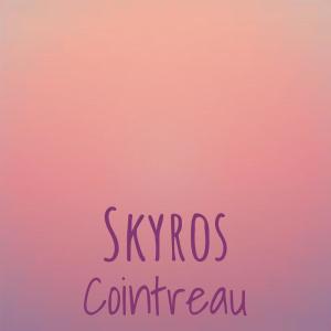 Various的专辑Skyros Cointreau