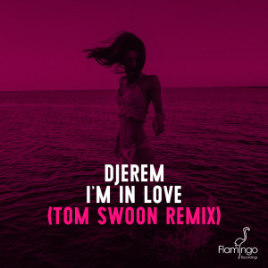 อัลบัม I'm In Love (Tom Swoon Remix) ศิลปิน Djerem