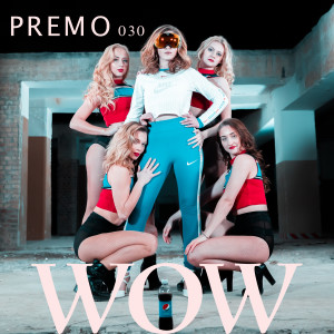 ดาวน์โหลดและฟังเพลง Wow พร้อมเนื้อเพลงจาก Premo030