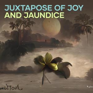 Dee Dee的專輯Juxtapose of Joy and Jaundice (Cover)