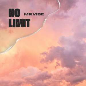 ดาวน์โหลดและฟังเพลง No limit พร้อมเนื้อเพลงจาก MR VIBE