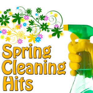 Various Artists的专辑Spring Cleaning Hits, Vol. 2