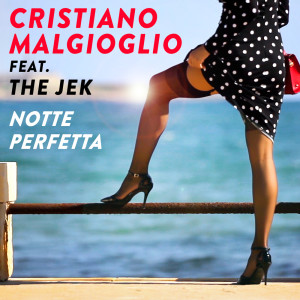 Cristiano Malgioglio的专辑Notte perfetta