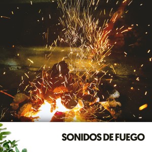 RelaxMyCat的專輯Sonidos de Fuego: A Musical Blaze of Emotions