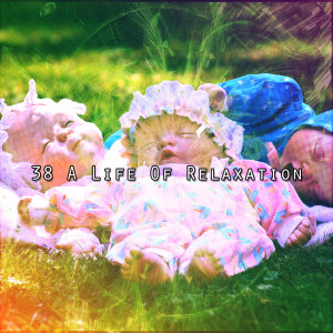 38 A Life Of Relaxation dari White Noise